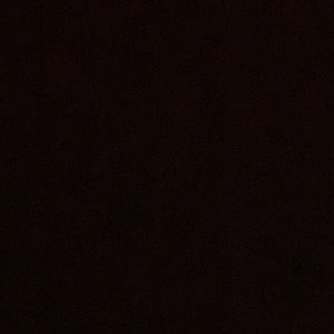 Meet your Posher, Isabel